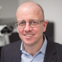 hire freelance neuropathology expert dr luke alvey