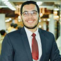 Ahmed A. - Researcher - Subject Matter Expert from Kolabtree