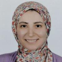 {0} - Kolabtreeの専門家