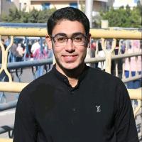 Mostafa S. - Premaster degree - Subject Matter Expert from Kolabtree