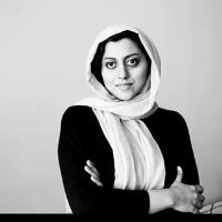 hadis malekie computer software consultant for hire