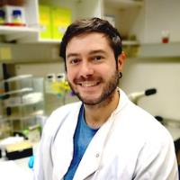 Aitor M. - PhD | Neuroscience - Subject Matter Expert from Kolabtree