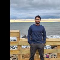 Karthik V. - PhD Mathematics - Subject Matter Expert from Kolabtree