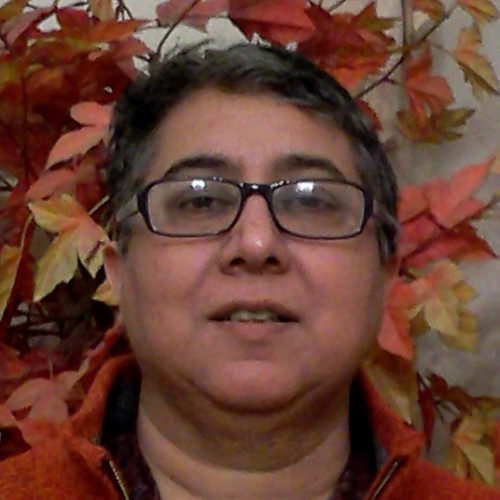 dr seeme mallick phd environmental economics freelance expert