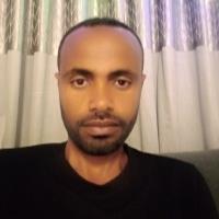 Daniel A. - Bachelor of Science (B.Sc.) in Computer Science - Subject Matter Expert from Kolabtree