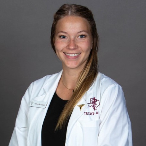 melodie raese technical writing freelance expert