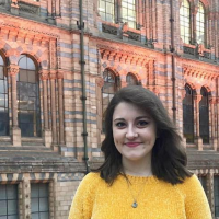 roisin conneely freelance literature search expert for hire