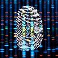 MARYAM A. - master - Subject Matter Expert from Kolabtree