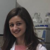 aya mohammed creative writing consultant for hire
