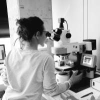 Giada C. - Doctorate - Subject Matter Expert from Kolabtree