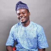 hire freelance surveying surveyors expert ugwu sochukwma samuel