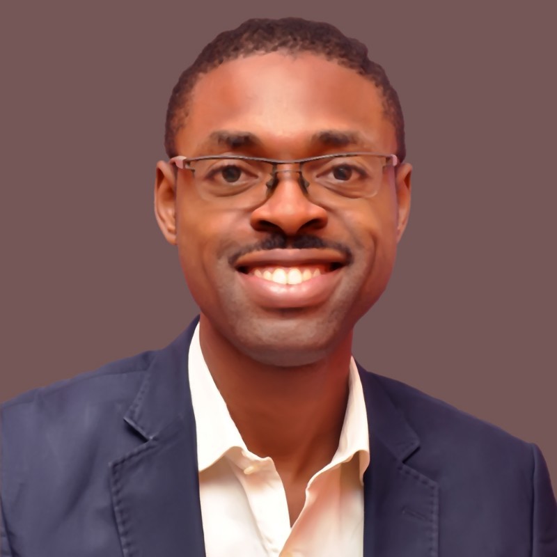 kingsley ukwuoma data analysis consultant for hire