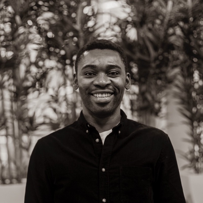 chinedu anene freelance cancer research expert for hire