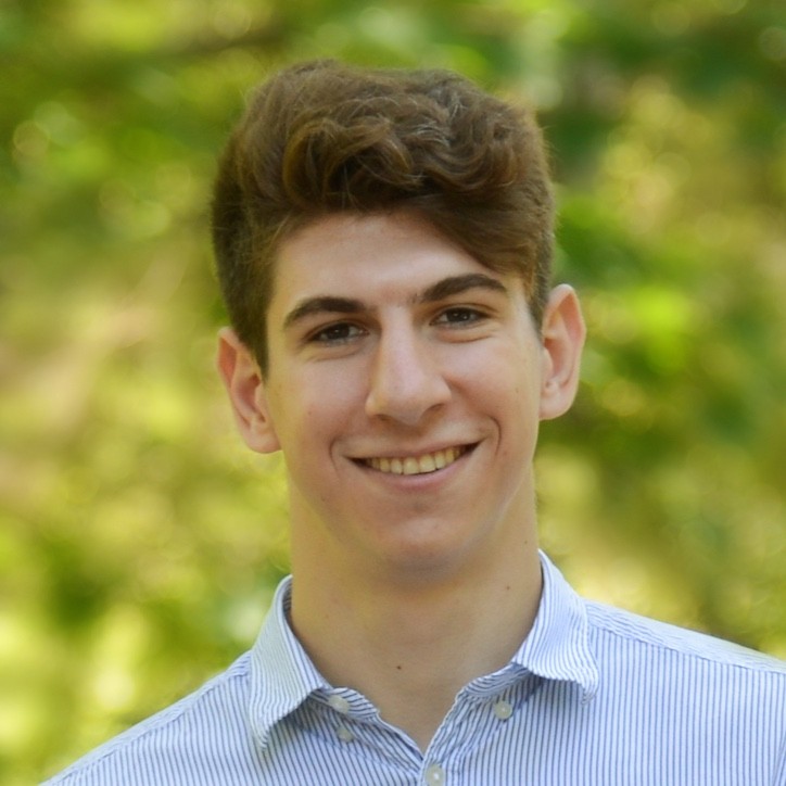 Daniil K. - MSc - Physics - Subject Matter Expert from Kolabtree