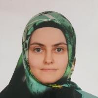 Saliha B. - Master of Science - Biomedical Engineering - Subject Matter Expert from Kolabtree