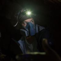 Holly L. L. - Doctor of Philosophy in Evolutionary Biology, Population Medicine and Diagnostic Sciences - Subject Matter Expert from Kolabtree