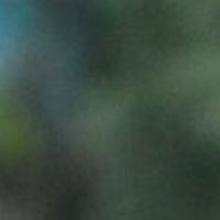 Lior T. - Economics - Subject Matter Expert from Kolabtree