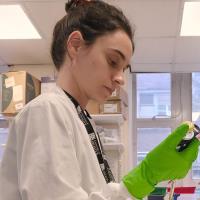 Rebeca L. - PhD student - Subject Matter Expert from Kolabtree