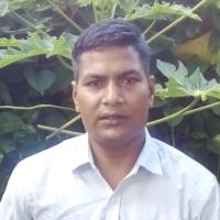 Lokesh K. - Ph.D. Biotechnology - Subject Matter Expert from Kolabtree