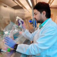 Ravi B. - Doctor of Philosophy (Ph.D) - Subject Matter Expert from Kolabtree