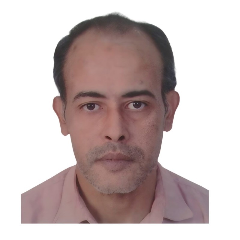 hafid zouihri simulation methods models freelance expert