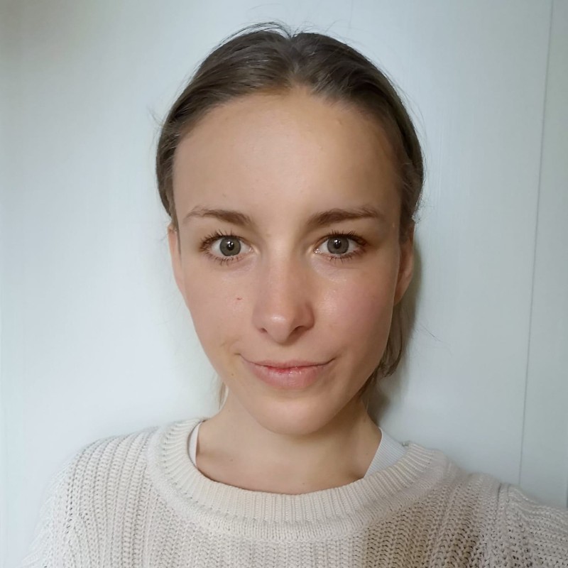 romy goossens social sciences humanities general consultant for hire