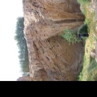 Walaa H. - PhD - botany and microbiology - Subject Matter Expert from Kolabtree