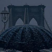 ramya kannan biomaterials consultant for hire