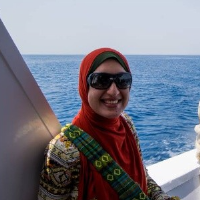 elzhraa elrayess solar energy freelance expert