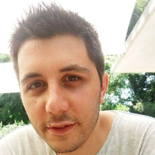 Diogo S. - PhD - Subject Matter Expert from Kolabtree