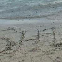 Shimaa E. - Bioinformatics diploma - Subject Matter Expert from Kolabtree