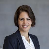 Negin F. - PhD - Computer Science - Subject Matter Expert from Kolabtree