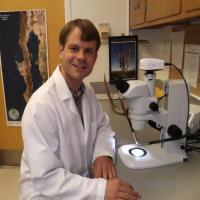 andrew semotiuk freelance pharmaceutical industry expert for hire