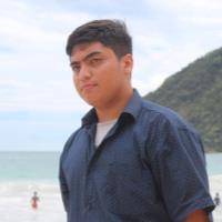 Hanif R. - MSc - Subject Matter Expert from Kolabtree