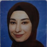 Fatma Hilal K. - Lisans - Subject Matter Expert from Kolabtree