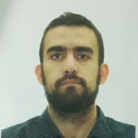 Amir N. - M.D. - Subject Matter Expert from Kolabtree