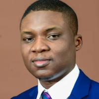 hire freelance stata expert felix michael