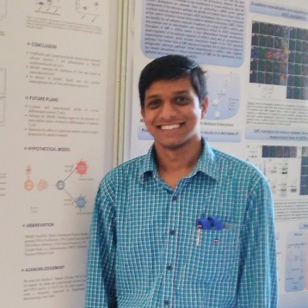 vibhuti shah visual arts freelance expert