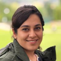 Forouzan  H. - Ph.D - Department of Atomic and molecular Physics - Subject Matter Expert from Kolabtree