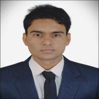 aashish budania computer software freelancer for hire