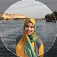 Malak Y. - PhD in Electronics and Communication Engineering - School of Sciences and Engineering - Subject Matter Expert from Kolabtree