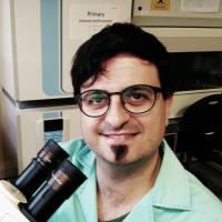 Ernest T. - PhD Biomedicine - Subject Matter Expert from Kolabtree