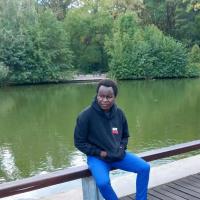 Ibrahim R. - Bachelor of Technology in Renewable Energy and Environmental Physics - Subject Matter Expert from Kolabtree