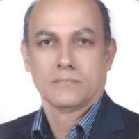 Davood O. - PhD (Industrial Engineering) - Subject Matter Expert from Kolabtree