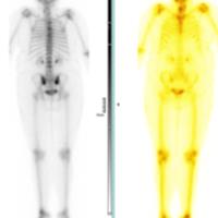 Fida H. - FCPS - Subject Matter Expert from Kolabtree