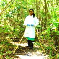 Sahina S. - Post Graduation - Subject Matter Expert from Kolabtree