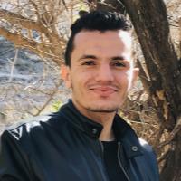 Dhirar B. - PhD - Department of Civil Engineering and Hydraulics - Subject Matter Expert from Kolabtree