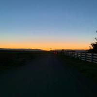 Santiago N. - Master of Engineering - Mineral resources - Subject Matter Expert from Kolabtree