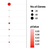hire freelance plant physiology expert amit chandra