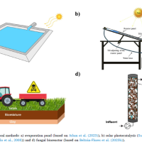 MR N. -  - Subject Matter Expert from Kolabtree